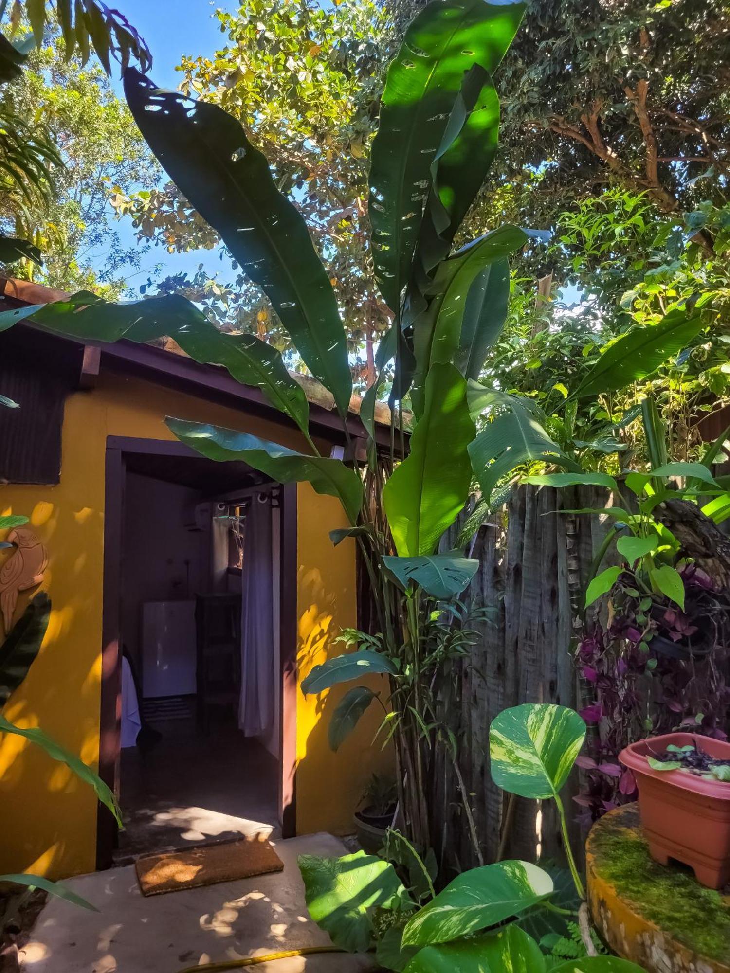 Pousada Raiz Forte Caraíva Buitenkant foto