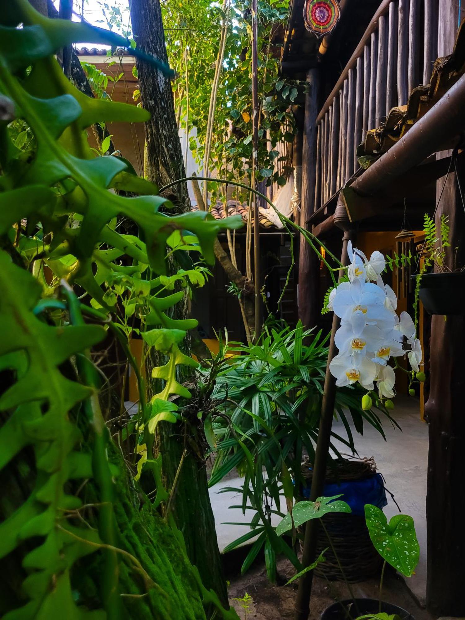Pousada Raiz Forte Caraíva Buitenkant foto
