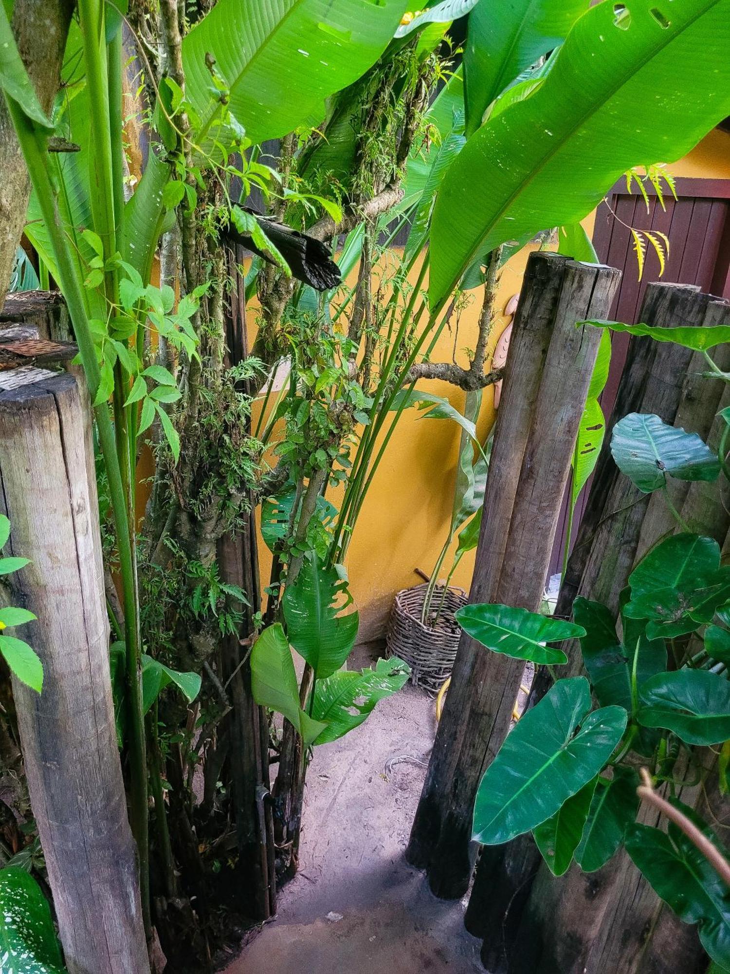 Pousada Raiz Forte Caraíva Buitenkant foto