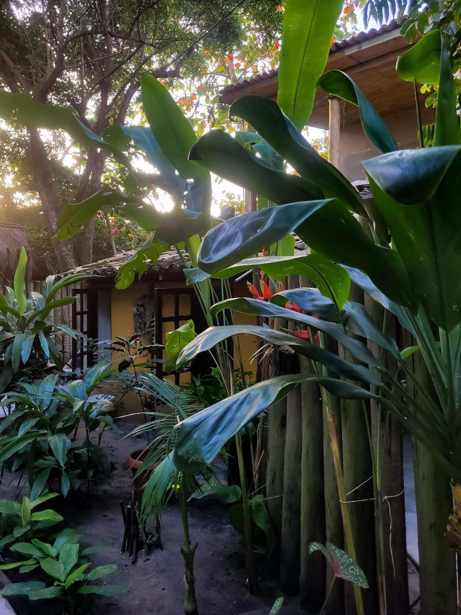 Pousada Raiz Forte Caraíva Buitenkant foto